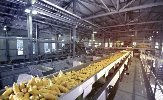 Sectores higiene alimentaria Industrias Alimentarias